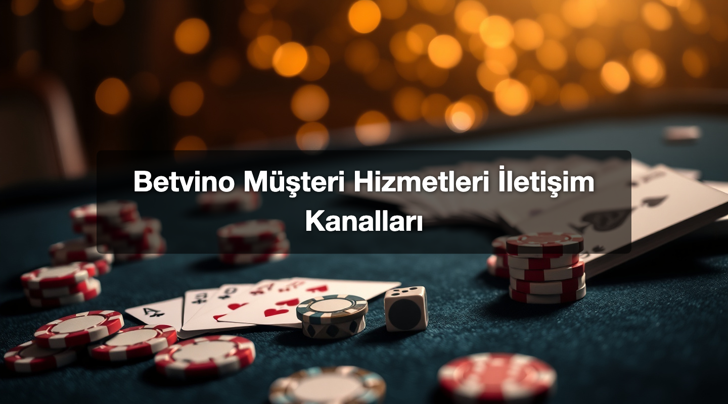Betvino Müşteri Hizmetleri İletişim Kanalları